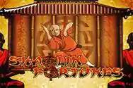 Shaolin Fortunes 2